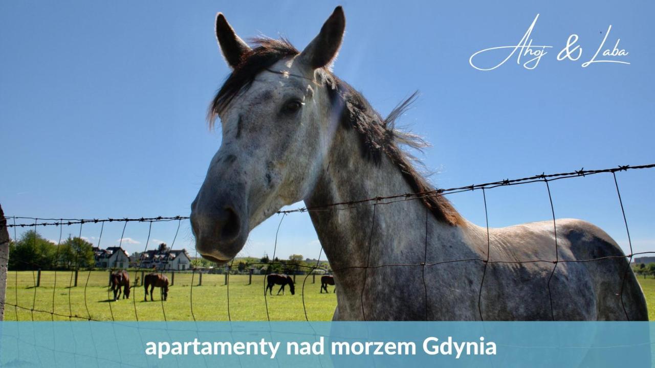 Laba - Basen, Blisko Plazy, Cisza, Taras, Parking, Bezplatne Wifi, Wyjatkowy! Daire Gdynia Dış mekan fotoğraf