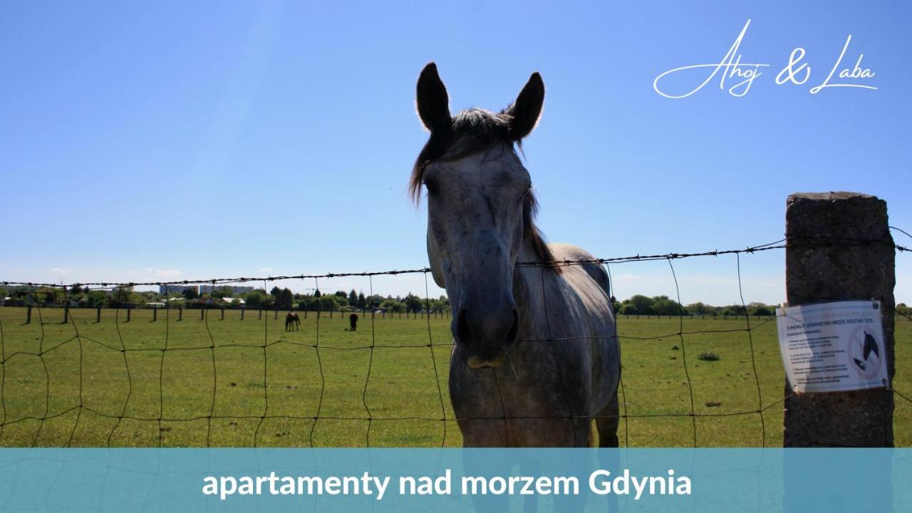 Laba - Basen, Blisko Plazy, Cisza, Taras, Parking, Bezplatne Wifi, Wyjatkowy! Daire Gdynia Dış mekan fotoğraf