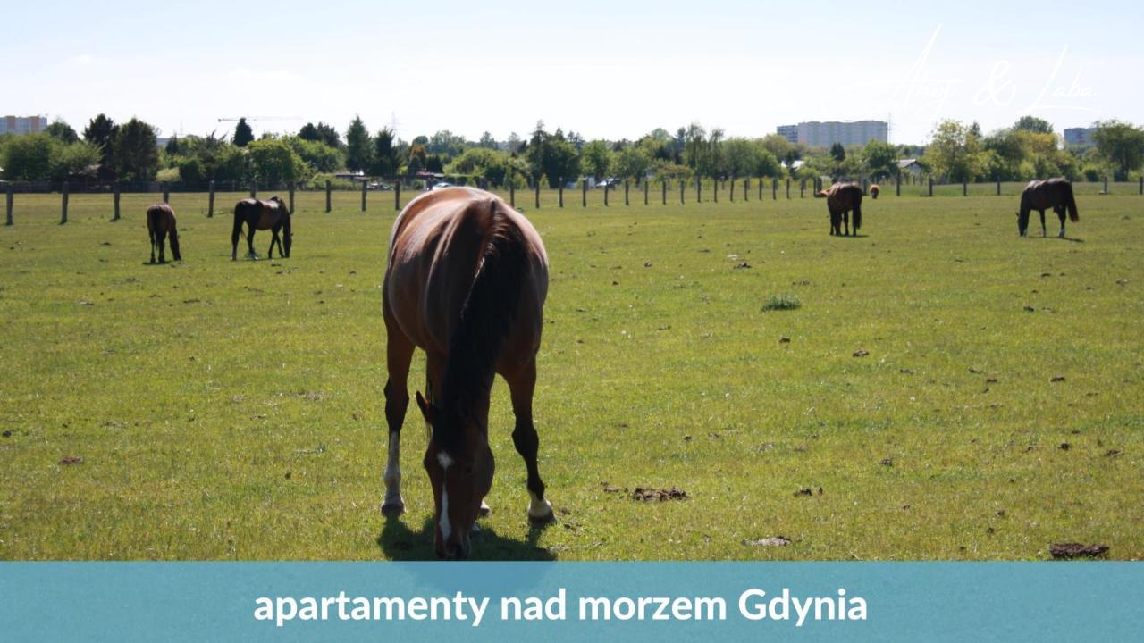 Laba - Basen, Blisko Plazy, Cisza, Taras, Parking, Bezplatne Wifi, Wyjatkowy! Daire Gdynia Dış mekan fotoğraf